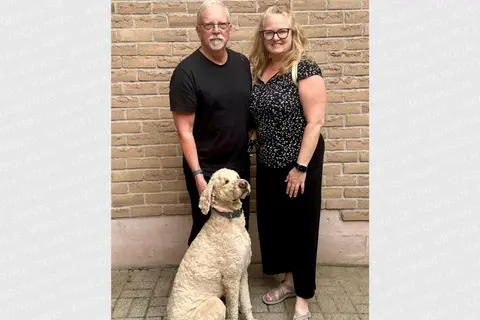"It came out of nowhere": coyote attacks a dog on a morning walk in Barrie