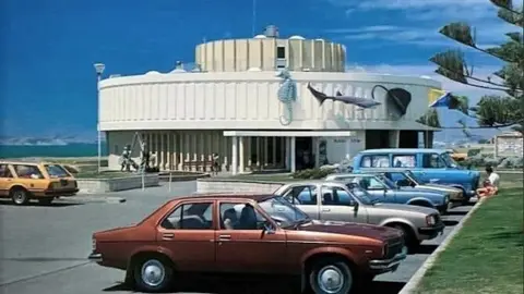 Napier's aquarium turns 50, from Inky the octopus to Terry