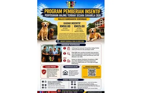 Seremban's stray dog bounty could encourage pet theft, activists warn