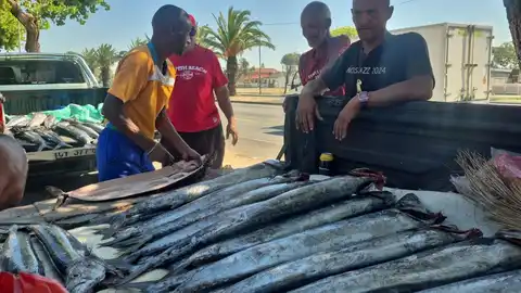 Cape Flats fish sellers brace for Easter with snoek stocks low