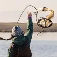 UC Davis looks at on-demand fish food delivery