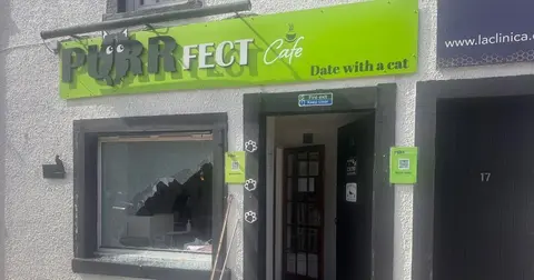 Thieves ransack East Kilbride cat cafe, leaving staff gutted