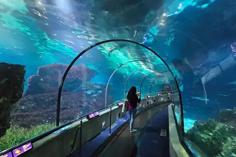 Vancouver Aquarium is adding an underwater tunnel to its outdoor pools