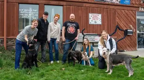 Pendleton's animal shelter cuts its dog adoption fees