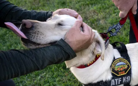 The bond between K-9s and handlers that keeps Southern California safe