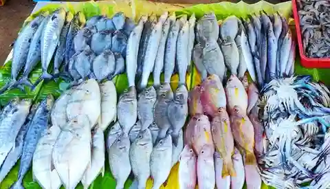 Odisha grows more fish than it needs, and still imports for variety