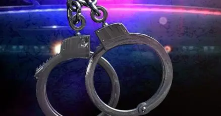 Two arrested after five dogs are dumped near I-78