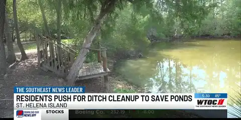 Neighbours want action over the St. Helena Island pond where the fish keep dying