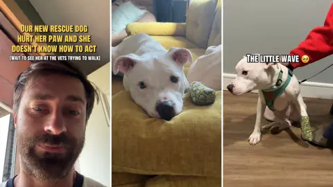 Shelter dog worries the internet, then lands in a foster home full of cuddles