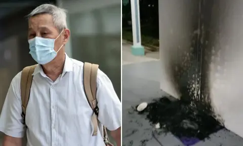 Man jailed for setting fire to cat houses in Bukit Batok