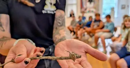 Camp Danger introduces kids to spiders, pocket dragons and Vlad the Impaler