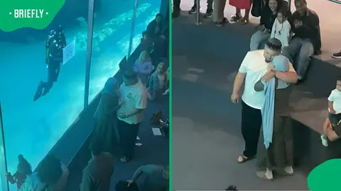 An underwater proposal at Cape Town's Two Oceans aquarium wins hearts