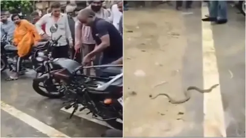 Man stops mid-ride to rescue a snake hiding in his bike