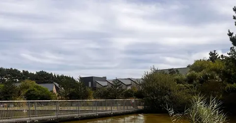 Pond fish to get help after council is accused of letting them suffocate