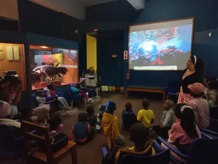 MPA Day returns, with events across South Africa's marine protected areas