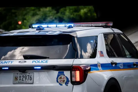 Two arrested over lemur and spider monkey photo sessions in Baltimore County