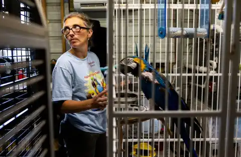 Wakefield parrot rescue races to find new premises