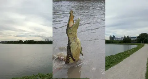 Crocodile spotted in Pandan Reservoir as water activities are suspended