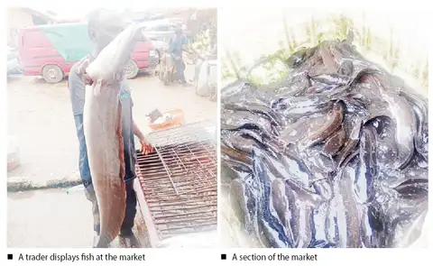 Business is brisk at Kado fish market
