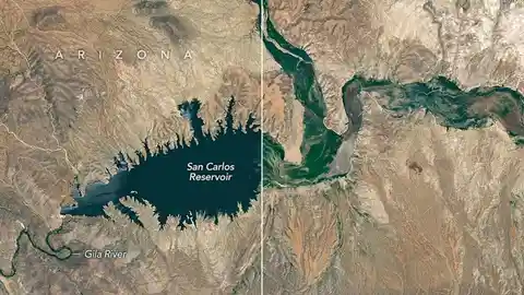 San Carlos Reservoir drops below 1% full and nearly all its fish die